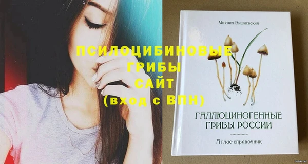 спайс Кодинск