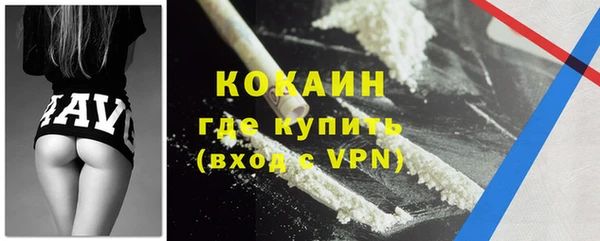 шишки Архангельск