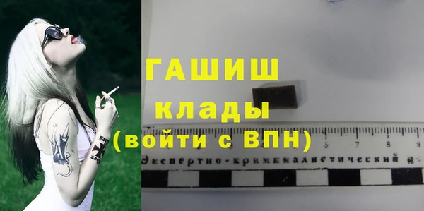 ГАЛЛЮЦИНОГЕННЫЕ ГРИБЫ Козловка