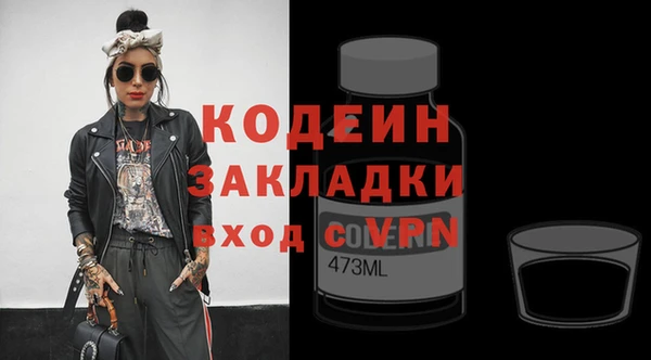 ГАЛЛЮЦИНОГЕННЫЕ ГРИБЫ Козловка