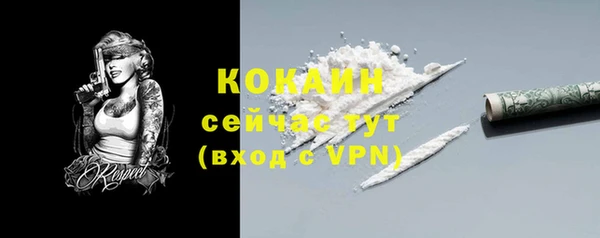 мяу мяу кристалл Корсаков