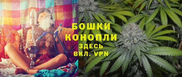 PSILOCYBIN Костерёво