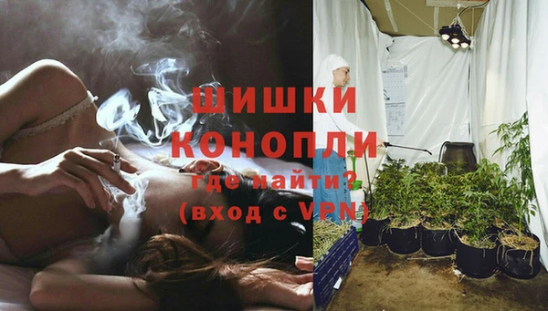 кокс Козельск