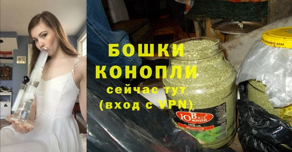 ГАЛЛЮЦИНОГЕННЫЕ ГРИБЫ Козловка