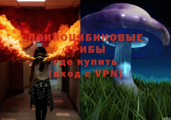 кокс Козельск