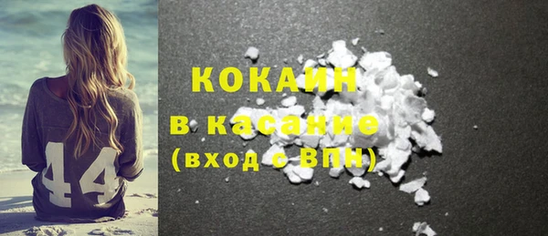 ГАЛЛЮЦИНОГЕННЫЕ ГРИБЫ Козловка